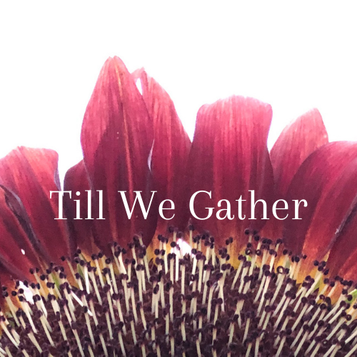 Till We Gather