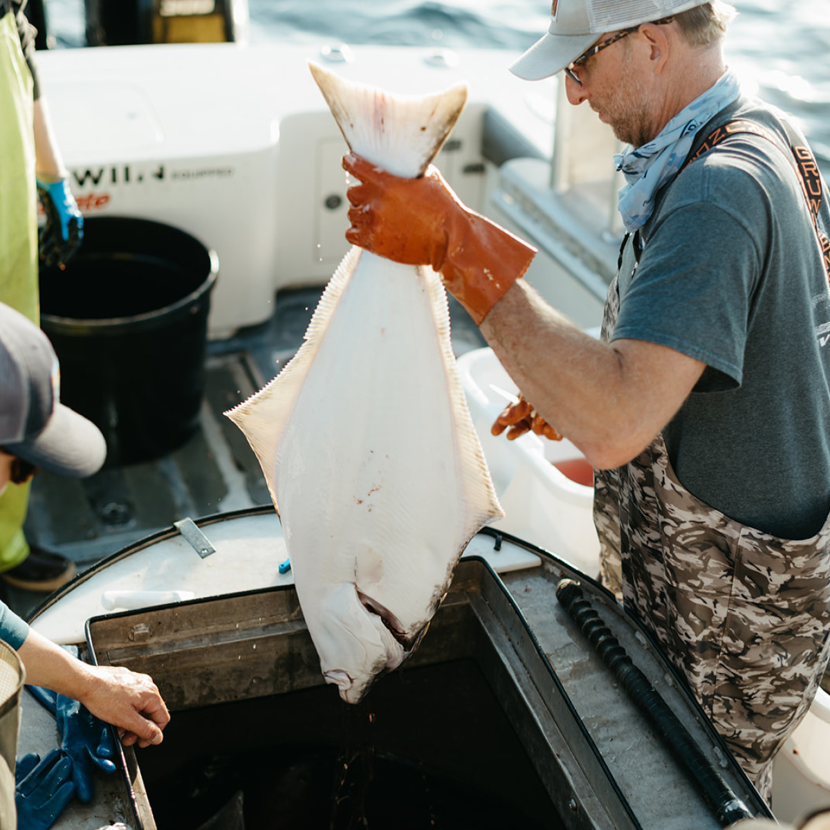 Tre-Fin Day Boat Seafood