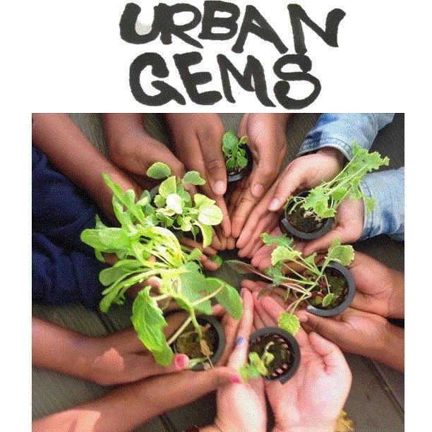 Urban GEMS Greens