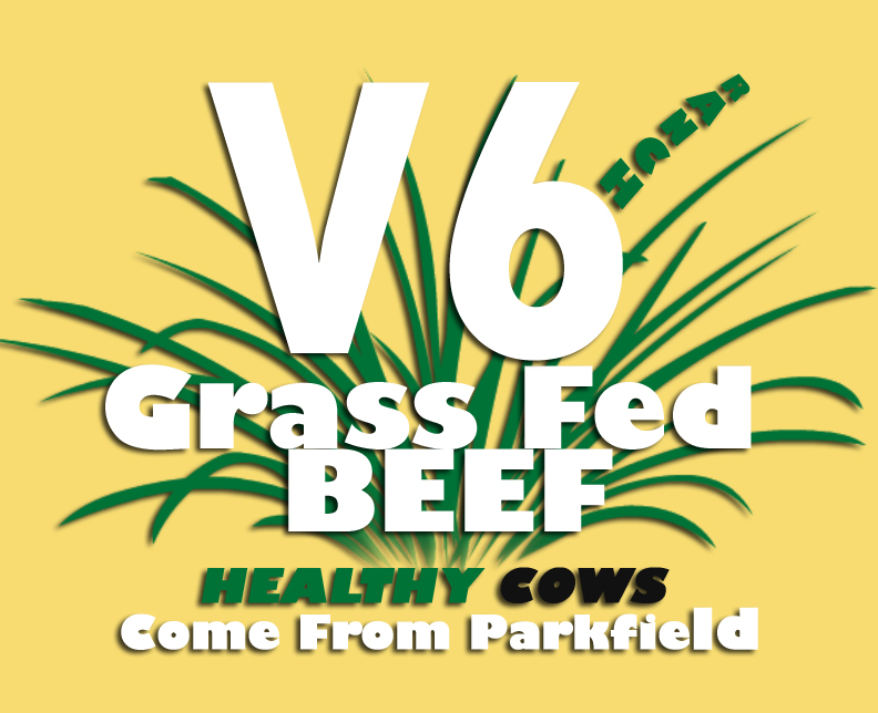 V6 Ranch Grassfed Beef