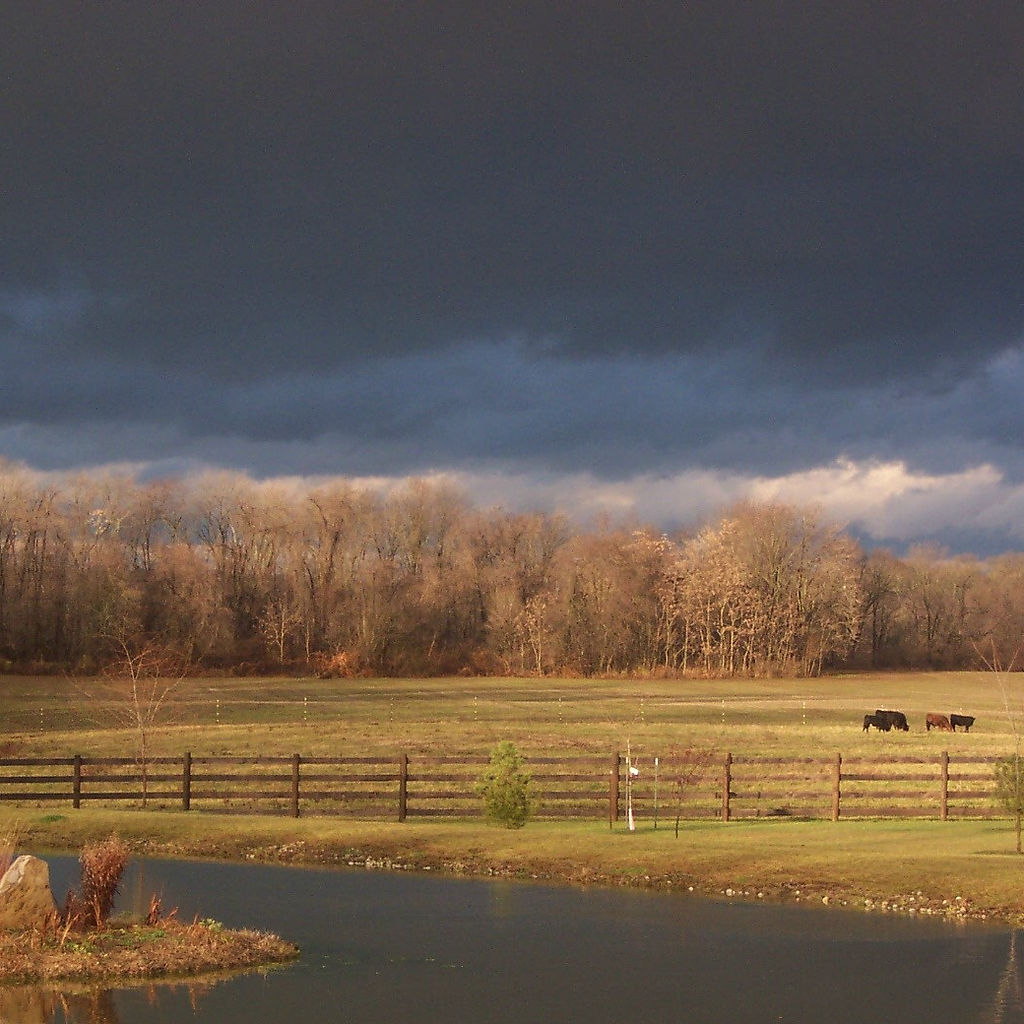 Valley Ridge Farms, Ltd