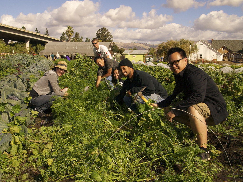 Veggielution Community Farm