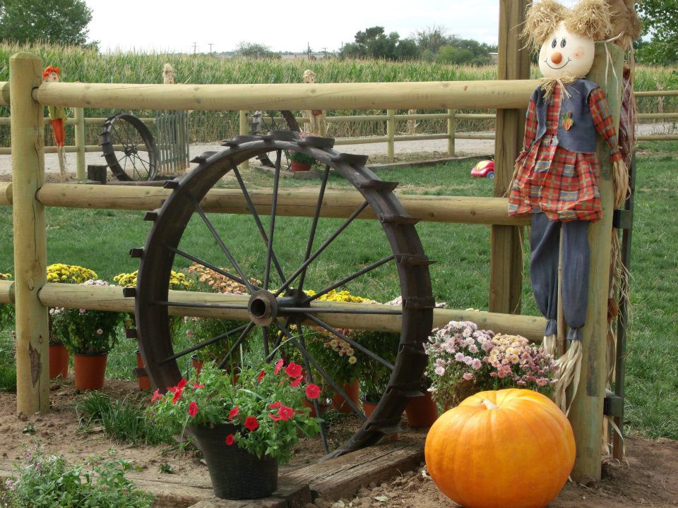 Wagner's Farmland Experience - Corrales