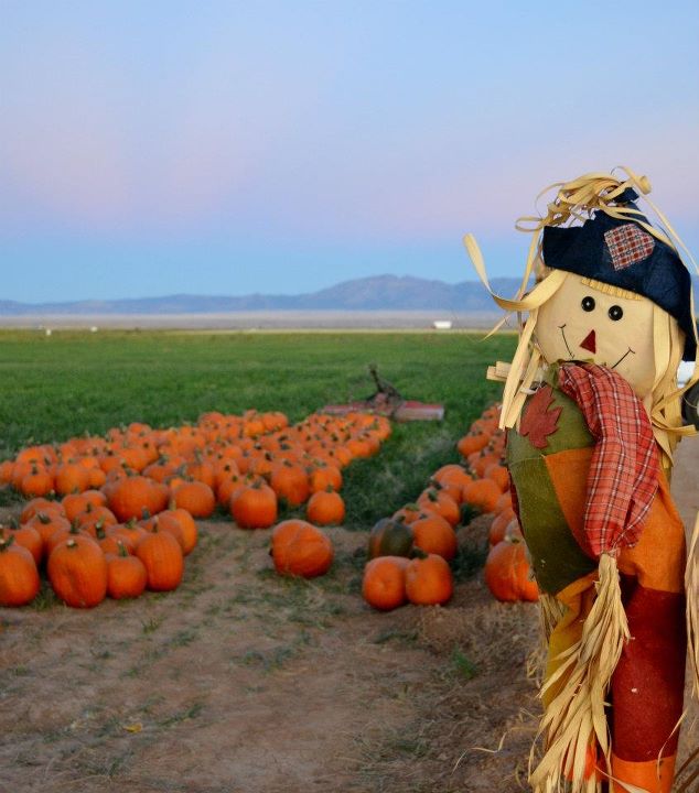 Wagner's Farmland Experience, Los Lunas