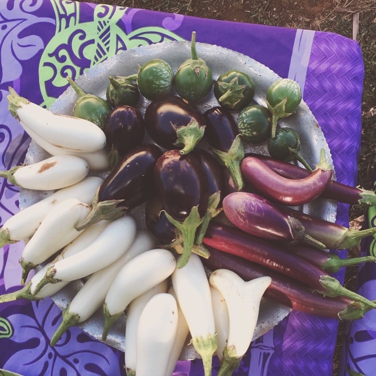 Wally's Farm, LLC