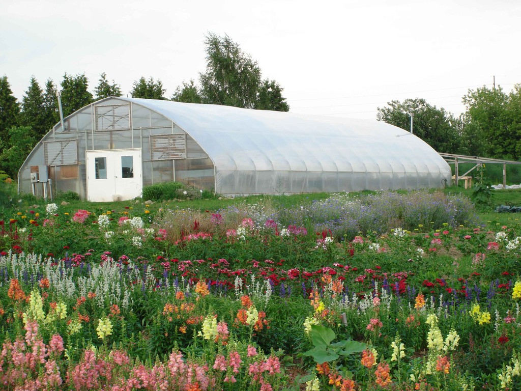 West Star Organics