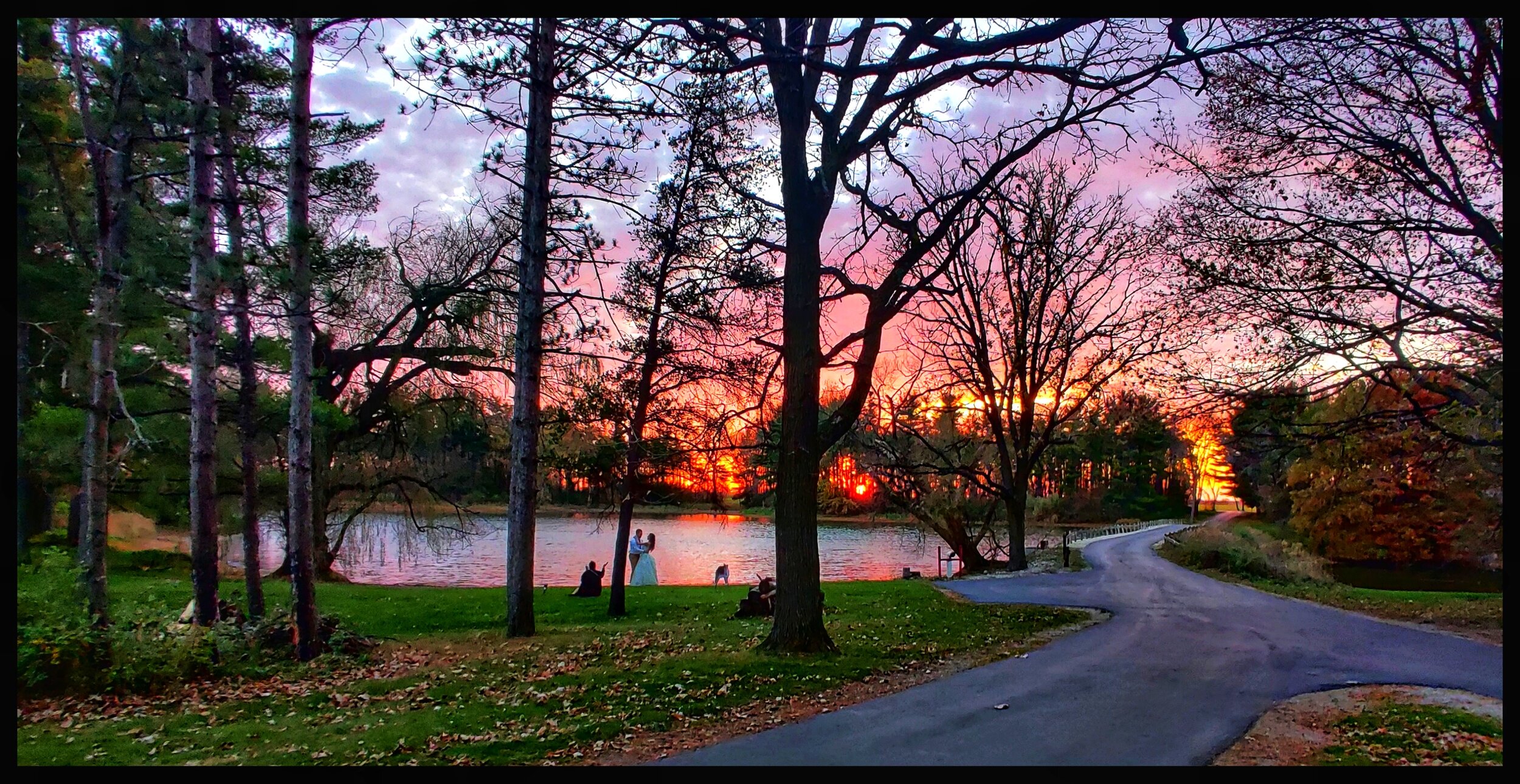 Whispering Woods Farm