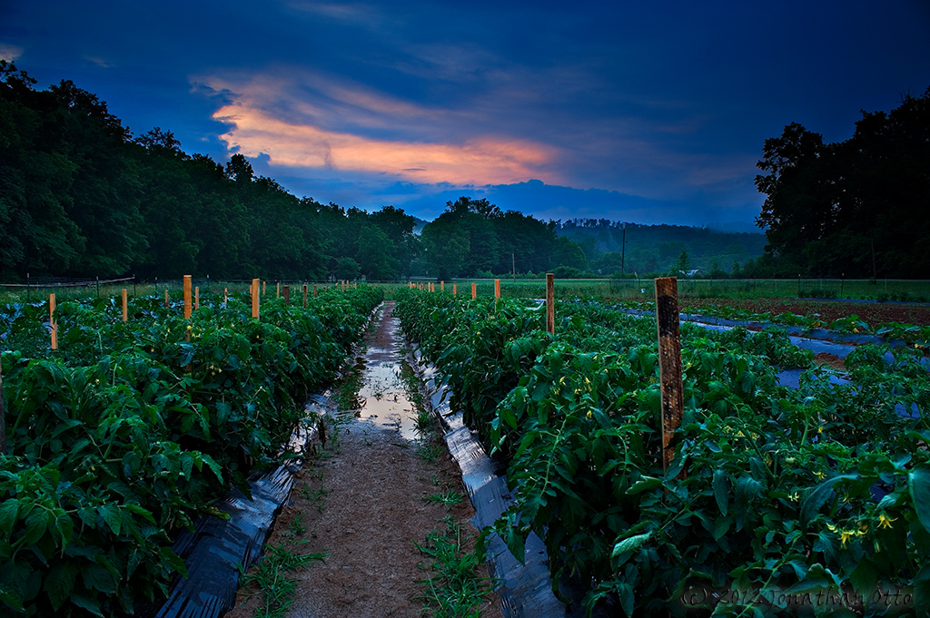 White Oak Valley Farm