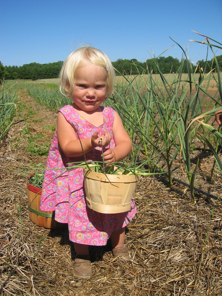 Whitefeather Organics llc.