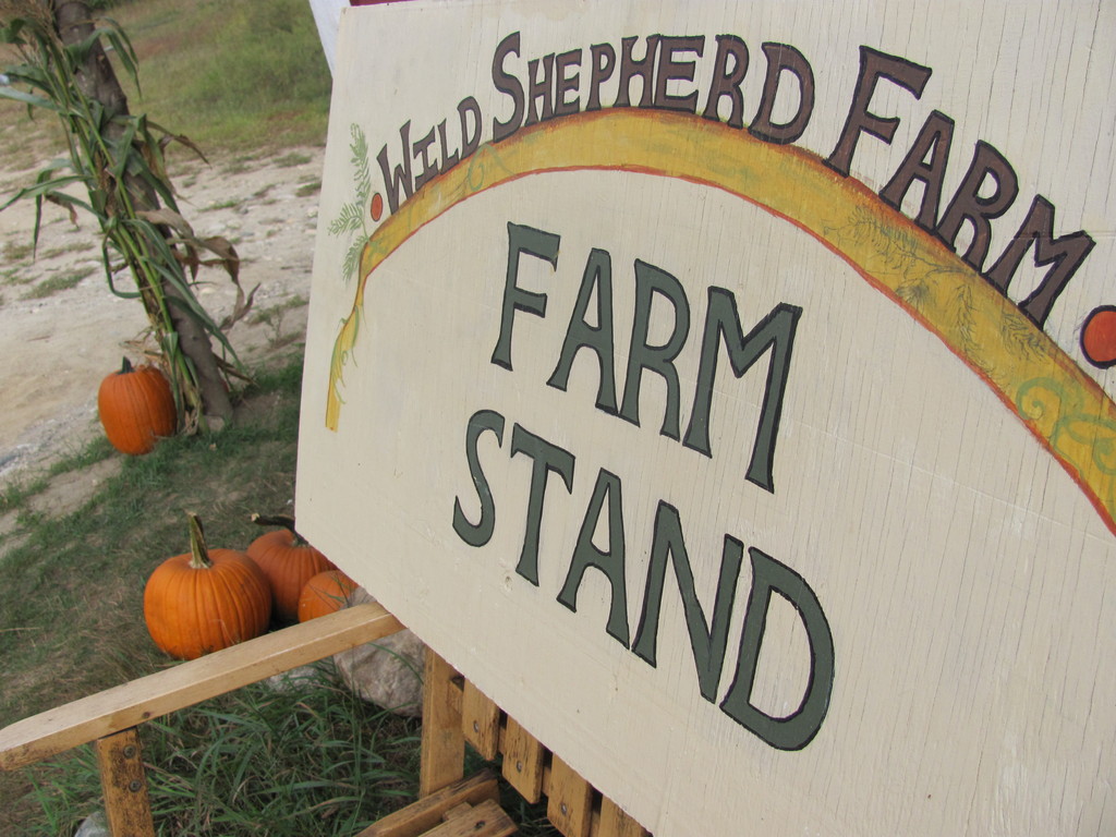 Wild Shepherd Farm