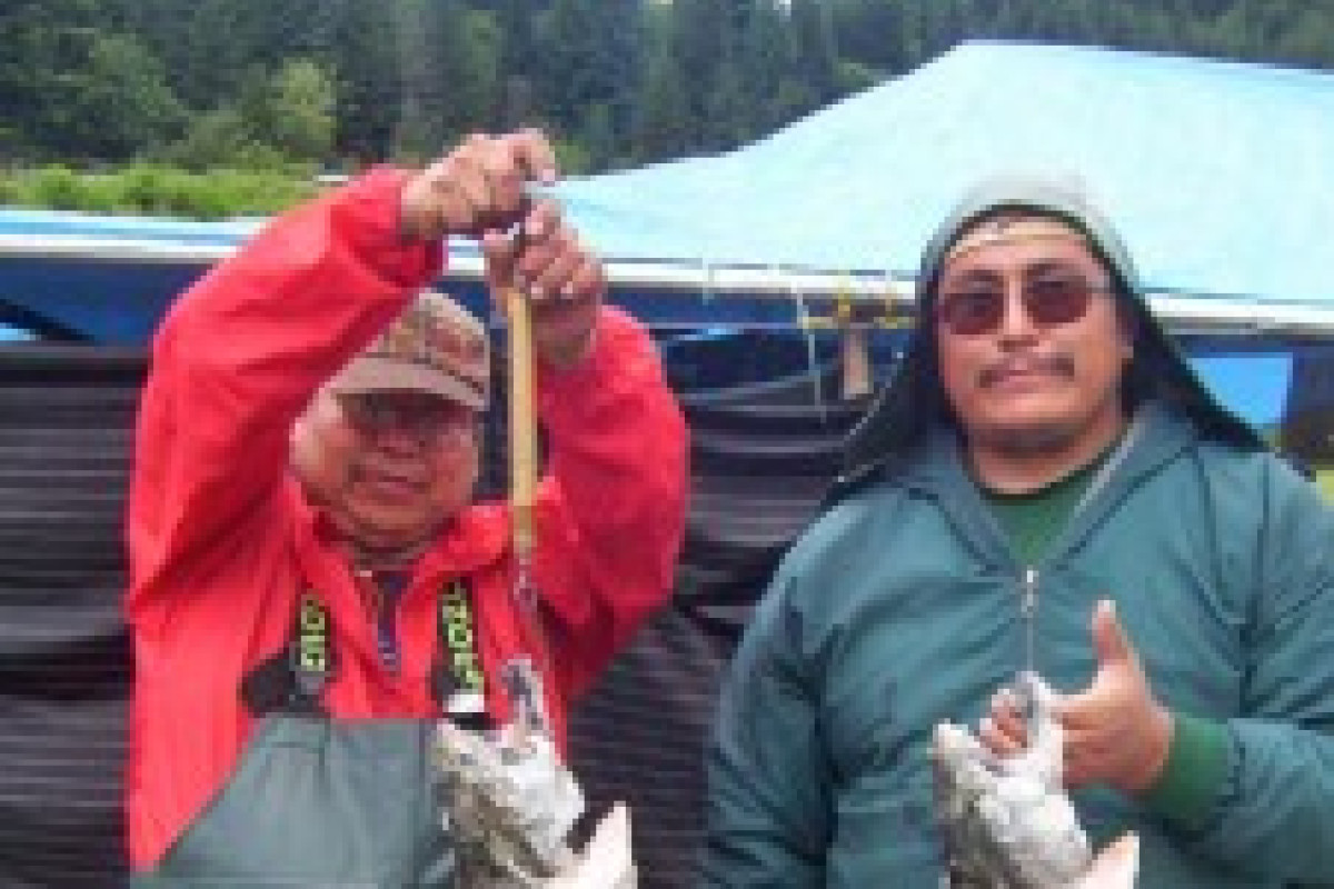 Willinda Blueberry Patch