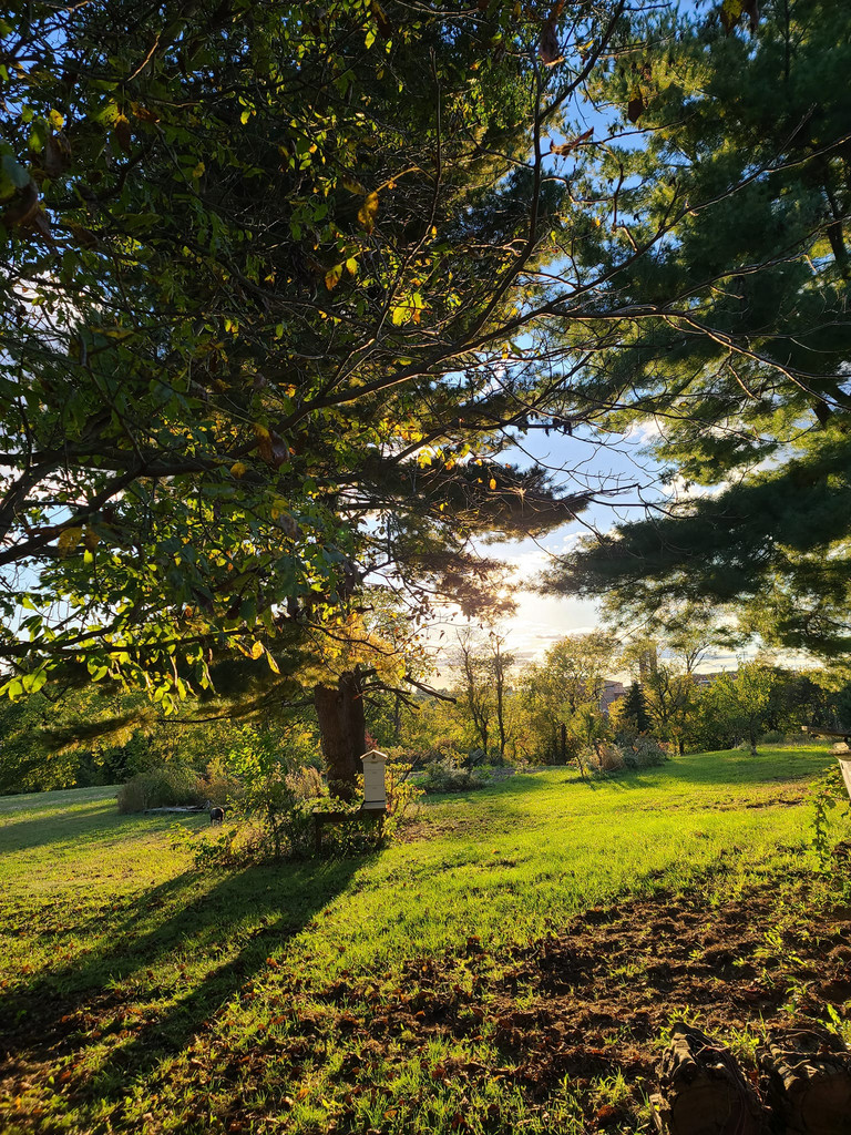 Willow River Farm Harrisburg