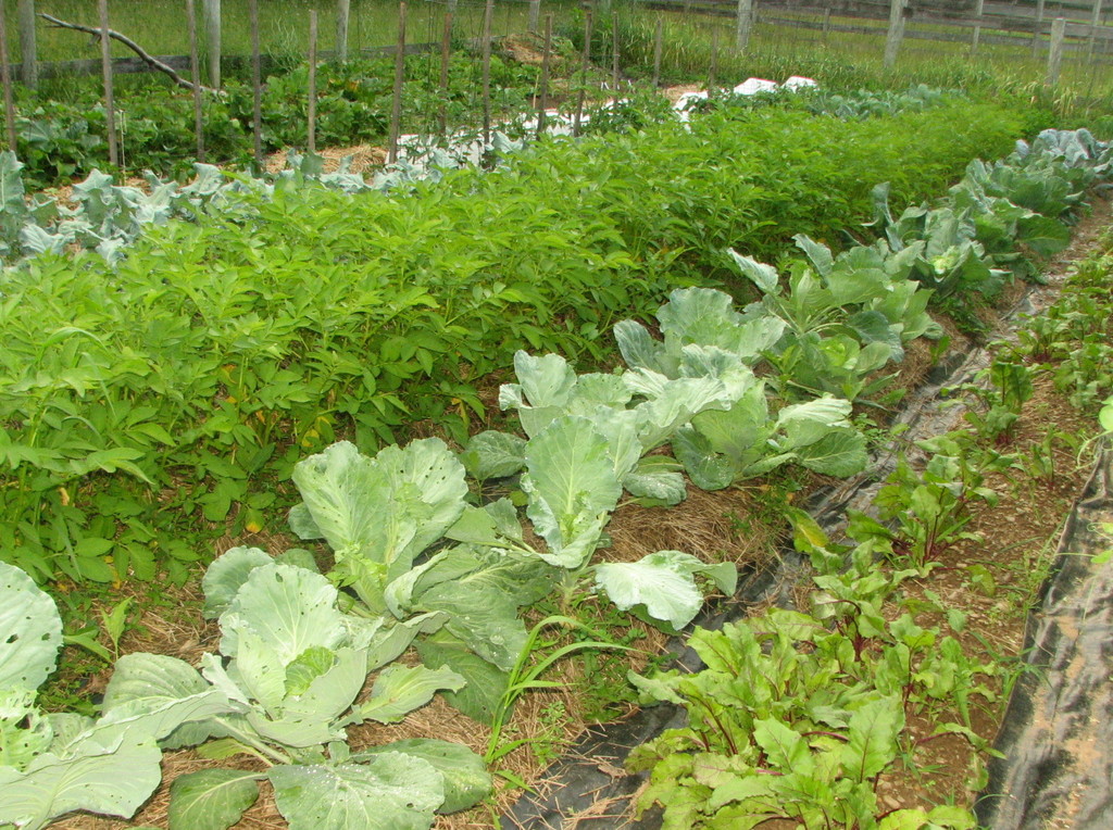 Wind Dance Farm & Earth Education Center