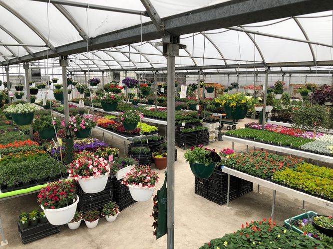 Windy Ridge Greenhouse and Produce
