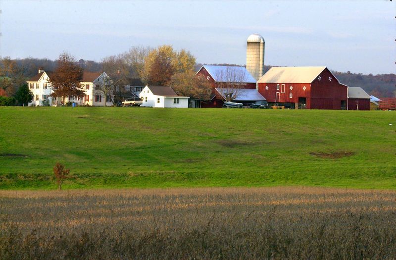 Yoder's Farm Market at Cedar Ridge Farm