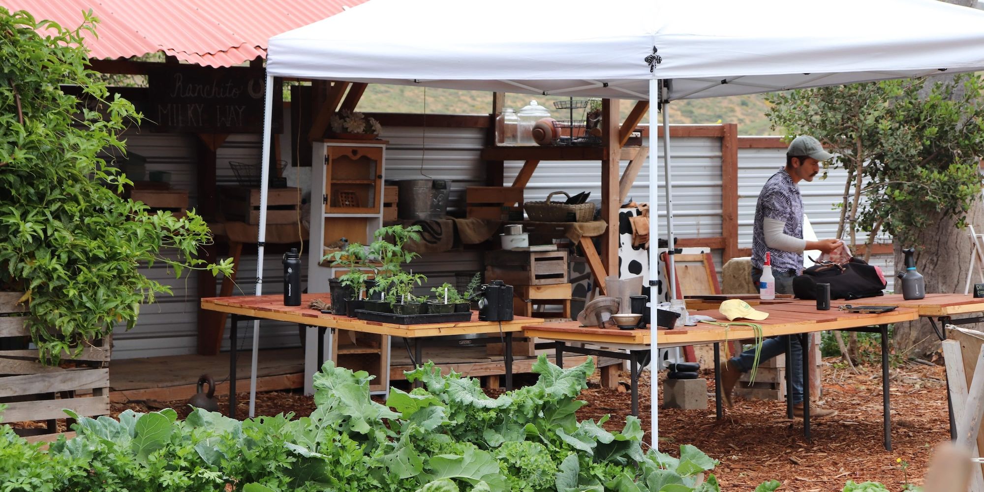 The farmstand